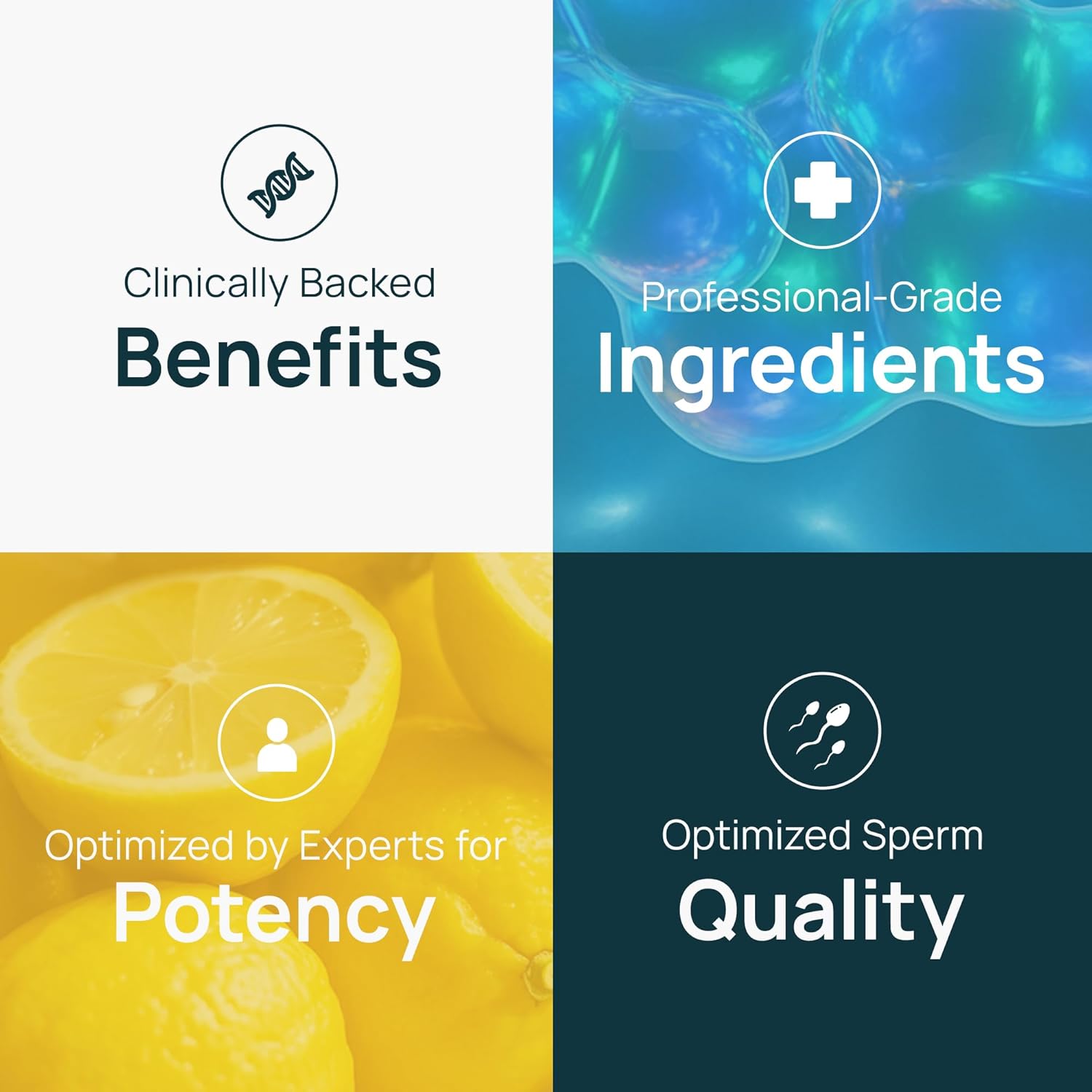 Posterity+ Male Fertility Supplement – Formulated with L Carnitine, Zinc, CoQ10, Vitamin A, C and E – Fertility Supplement for Men Supports Sperm Count, Health, Shape, Movement & More – 120 Capsules - Image 4