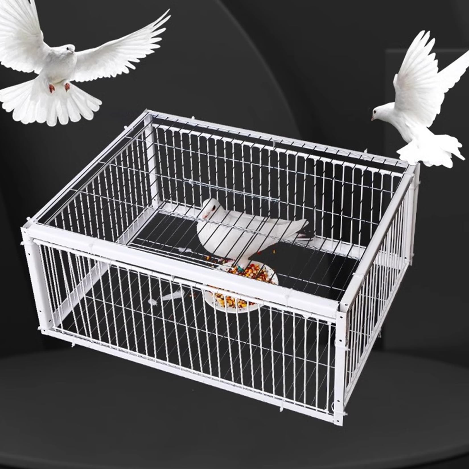 Trampa para Palomas, Jaula para pájaros de 16x12x10 con Cuatro entradas unidireccionales, Trampa para Palomas con tragaluz para Granjas, graneros, Jardines y cría de