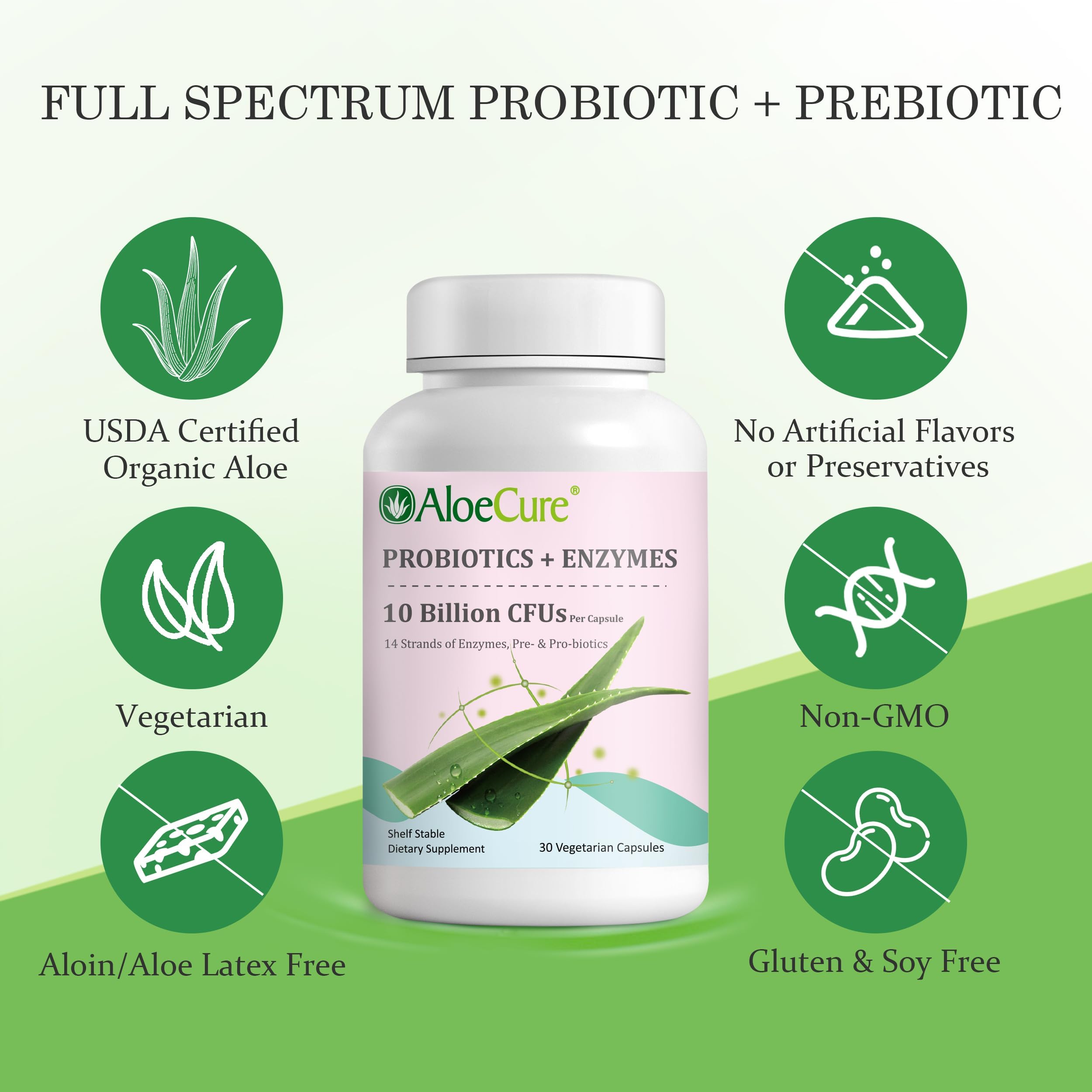 AloeCure Daily Probiotics 10 Billion CFUs + Enzymes & Prebiotics, 30 caps — Amazon image 4