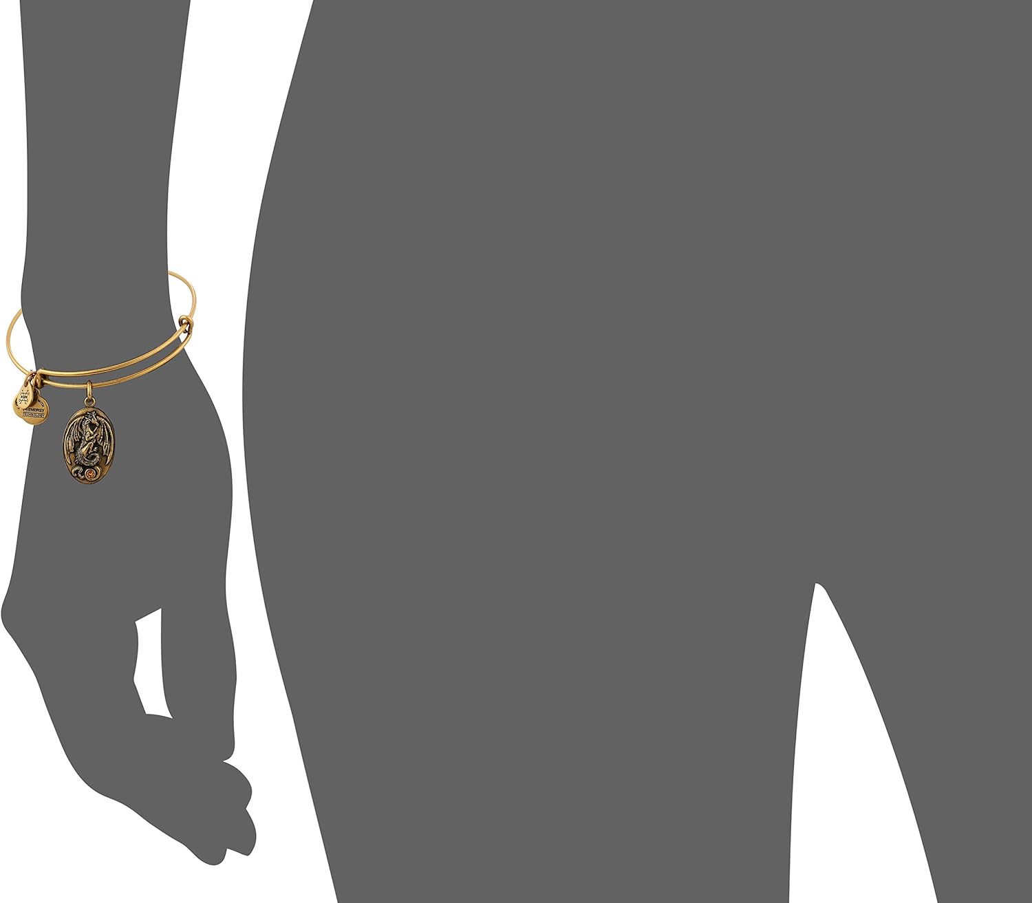 Alex and Ani Path of Symbols Dragon with Crystal Expandable Gold Wire Bangle Charm Bracelet: Jewelry