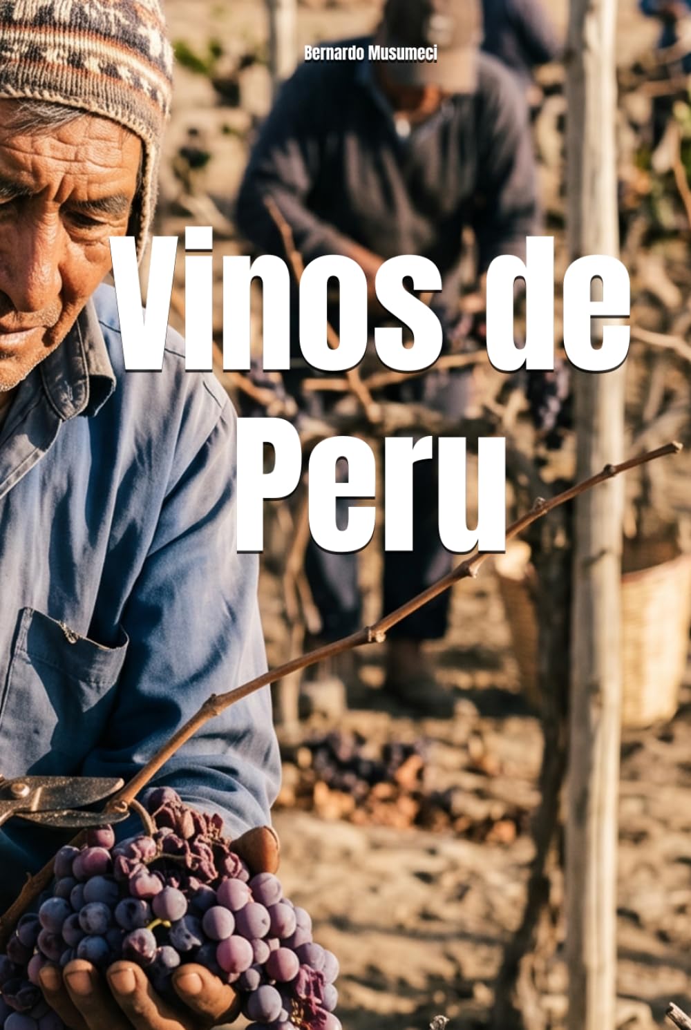 Vinos de Peru (Wines of the World)