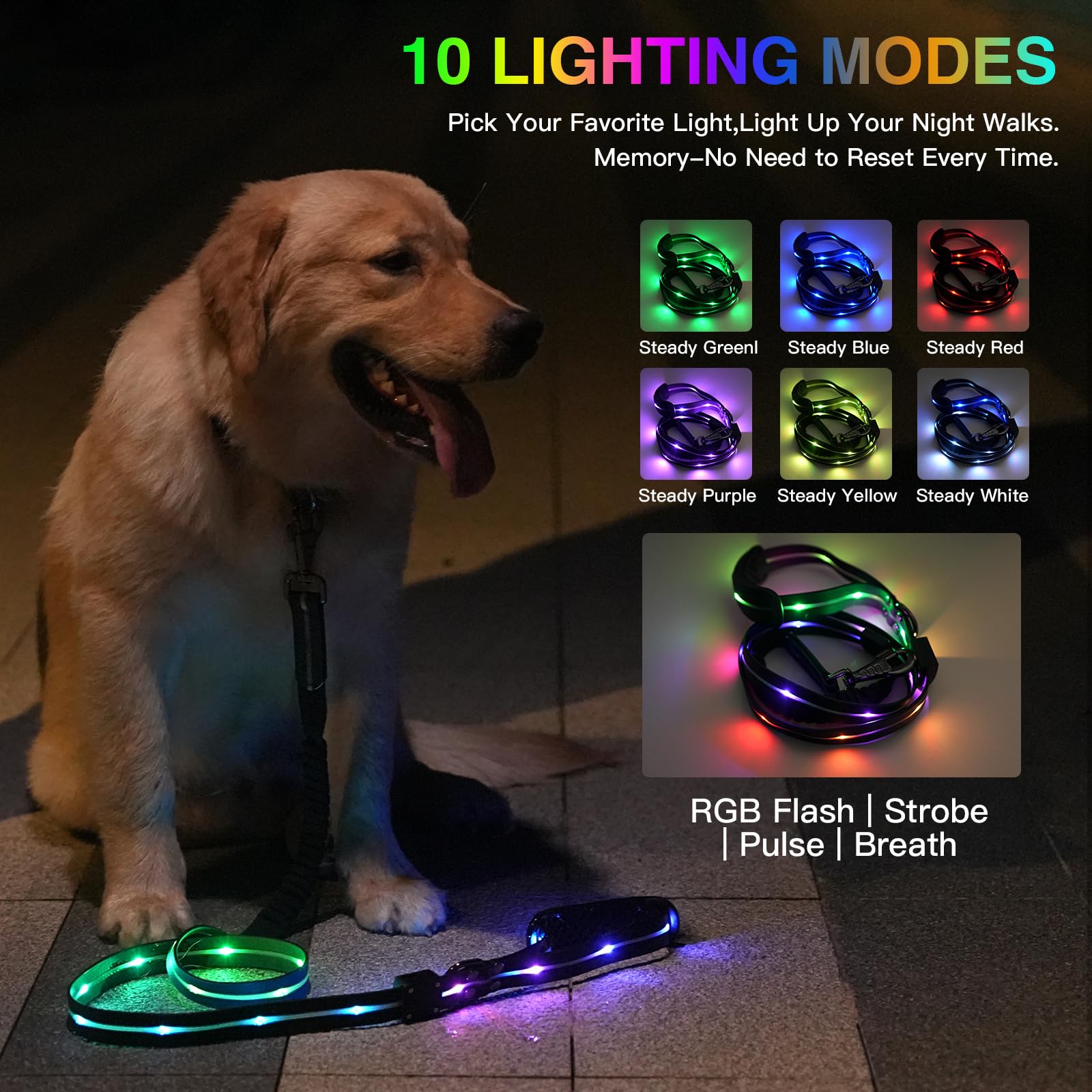 Correa LED para perro
