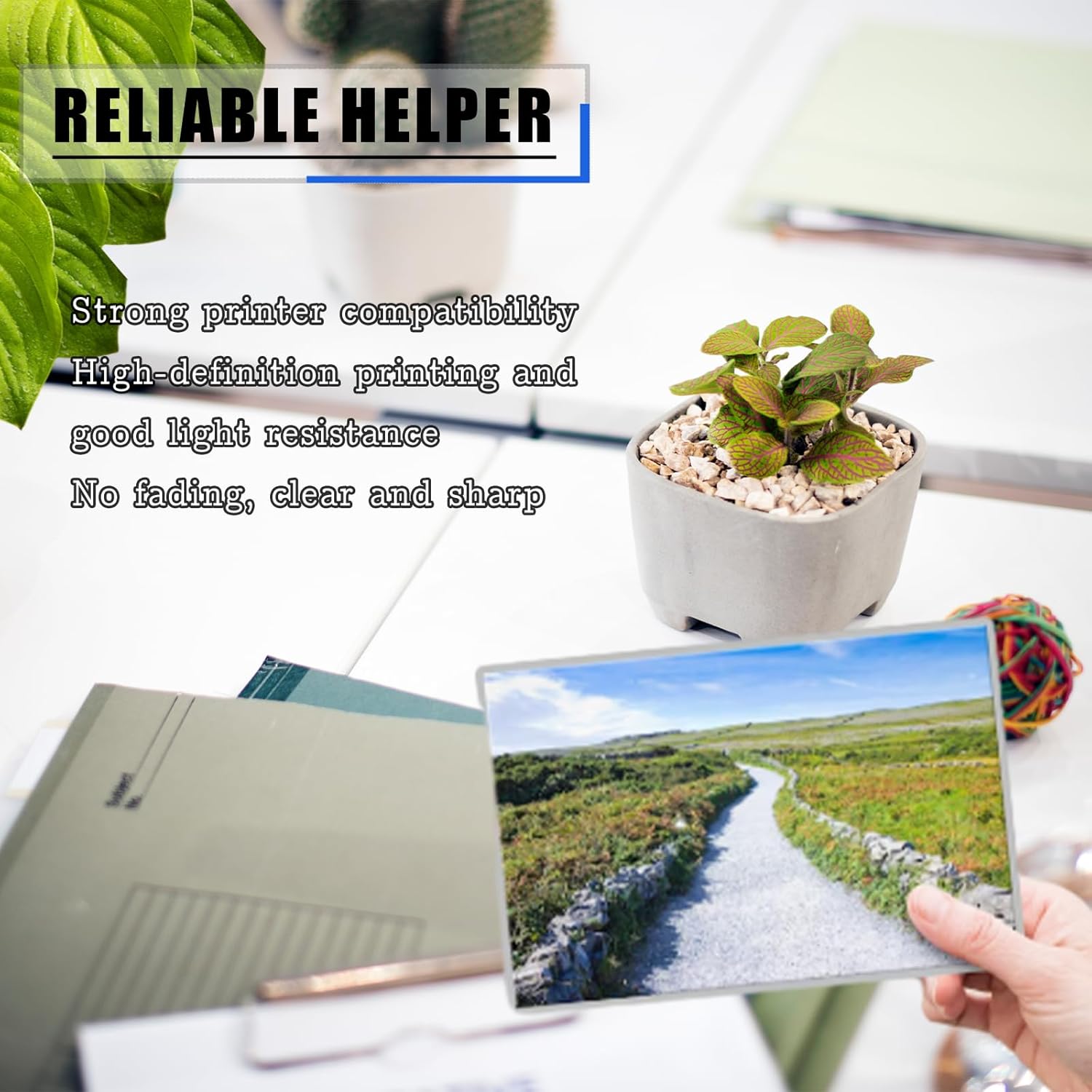 70C0D10 Compatible Developer Unit Replacement for Lexmark High Yield Compatible CS410n CS417dn CS510de CS510dte CS517de CX517de Printers, Meet Printing Needs (1 Pack Black)