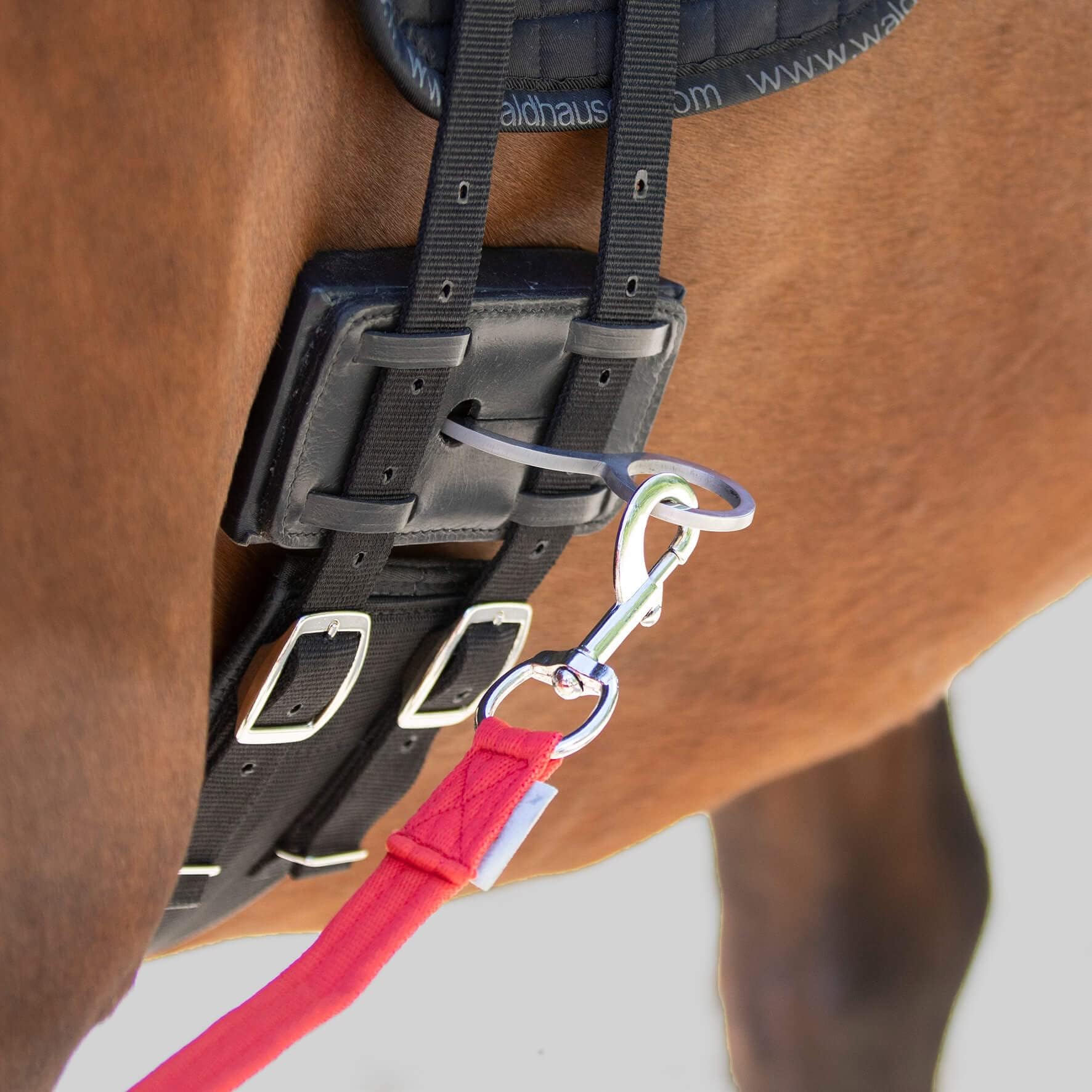 CBL Waldhausen - Lunging aid EQUIBENDER