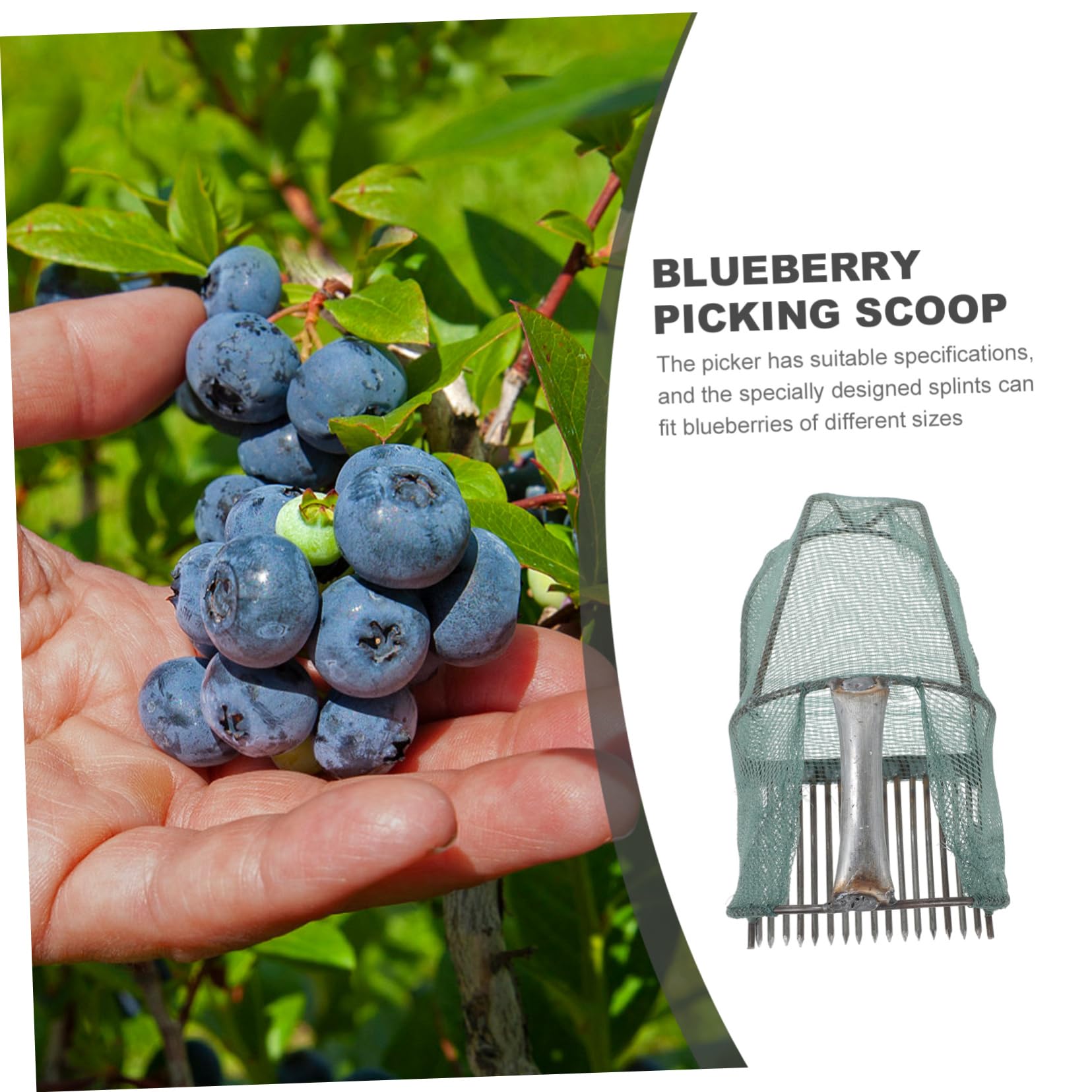 ifundom Cueilleur de Fruits Pliable pour Myrtilles avec Panier en Acier Inoxydable, Compact et Léger, Outil Cueillette Jardin