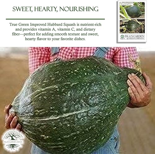 Miniatura 5 de True Green - Semillas de calabaza Hubbard mejoradas para plantar, 25 semillas tradicionales por paquete, semillas de jardín de Isla (semillas de