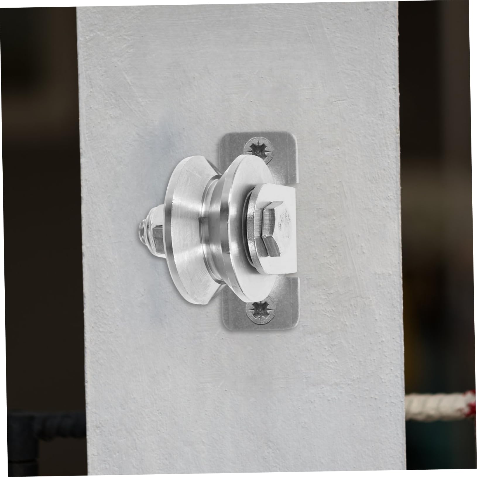 SOLUSTRE 2 Pezzi Pulegge in Acciaio Inossidabile da 48 Mm con Cuscinetti Interni, Pulegge per Fune a Parete per Sistemi di Carrucole e Porte Scorrevoli, Installazione Facile