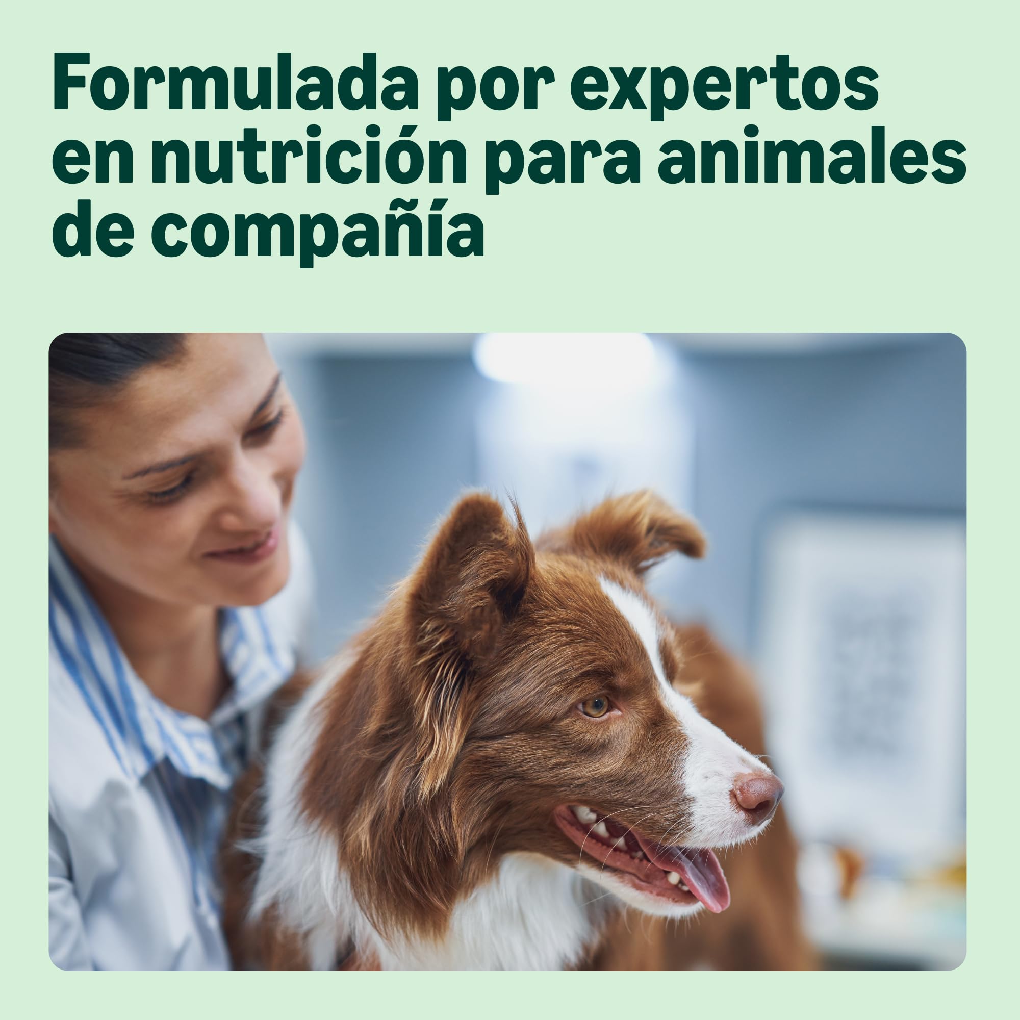 by Amazon Alimento seco completo para perros adultos con salmón y arroz, 15 kg (Paquete de 1) (Anteriormente una marca Lifelong, el mismo producto)