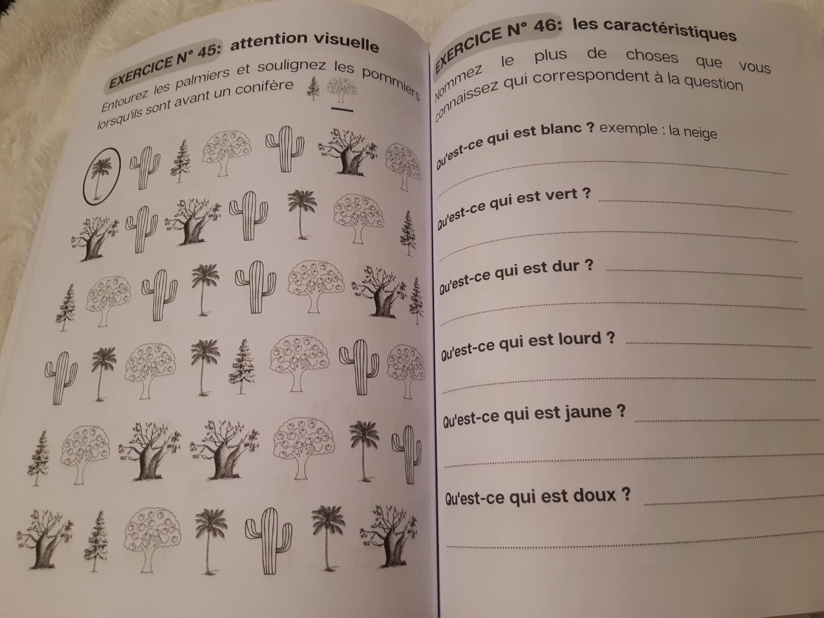 Exercices De Remediation Cognitive à Imprimer www.amazon.fr