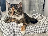 Review Image by Amazon Customer