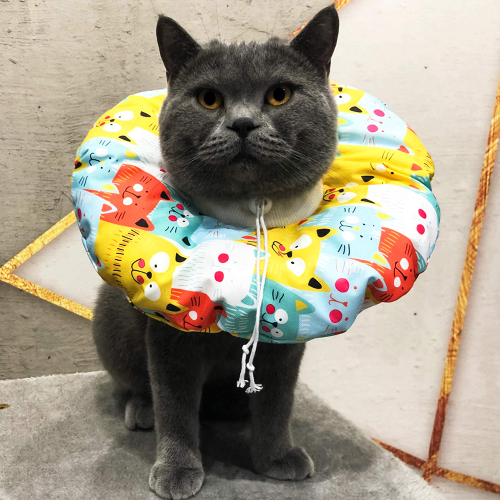 Collare Protettivo Gatto, Elisabettiano Collare Protettivo Cono, Collare Morbido Regolabile per Animali Domestici, Collare per Recupero Gatto Dopo per chirurgia per Cani e Gatti (S)