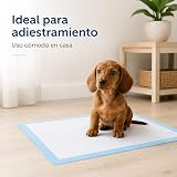 Ver la foto 3