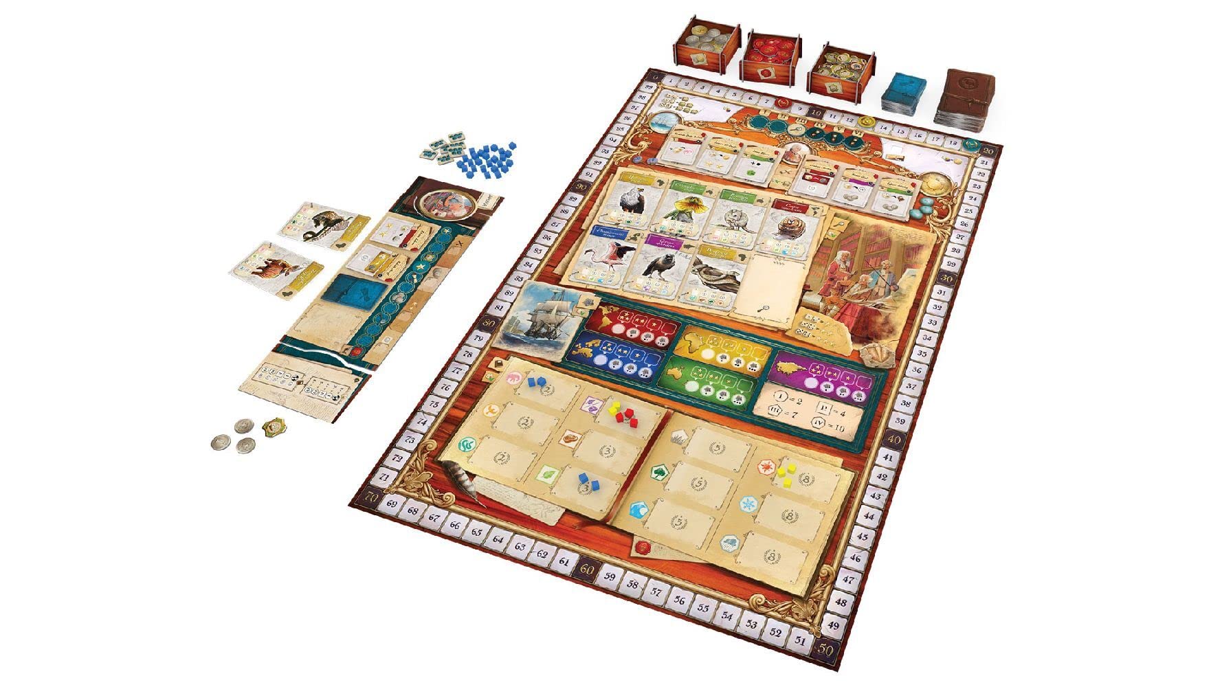 Holy Grail Games, Encyclopedia: Forschungsreise ins Tierreich, Kennerspiel, Brettspiel, 1-4 Spieler, Ab 12+ Jahren, 25 Minuten je Spieler, Deutsch