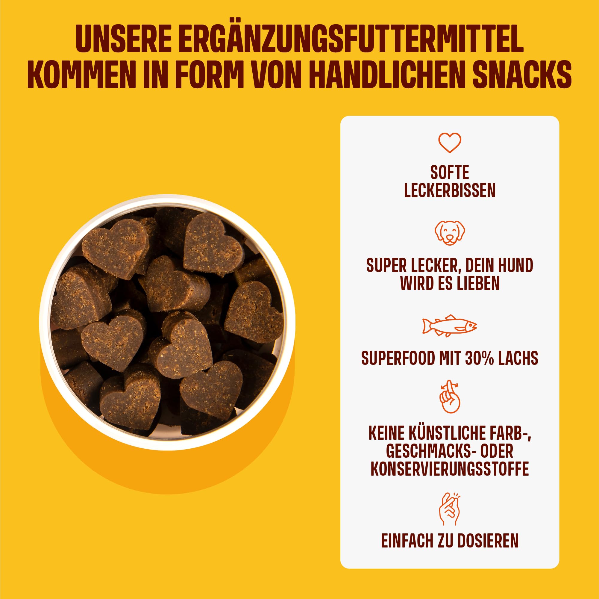 ivvi Skin & Coat Omega 3 für Hunde gegen Juckreiz im Leckerliformat, für gesunde Haut & glänzendes Fell – mit Biotin, DHAgold, Zink, Vitamin C, Lachsöl - 60 leckere Snacks (270g) mit Lachs