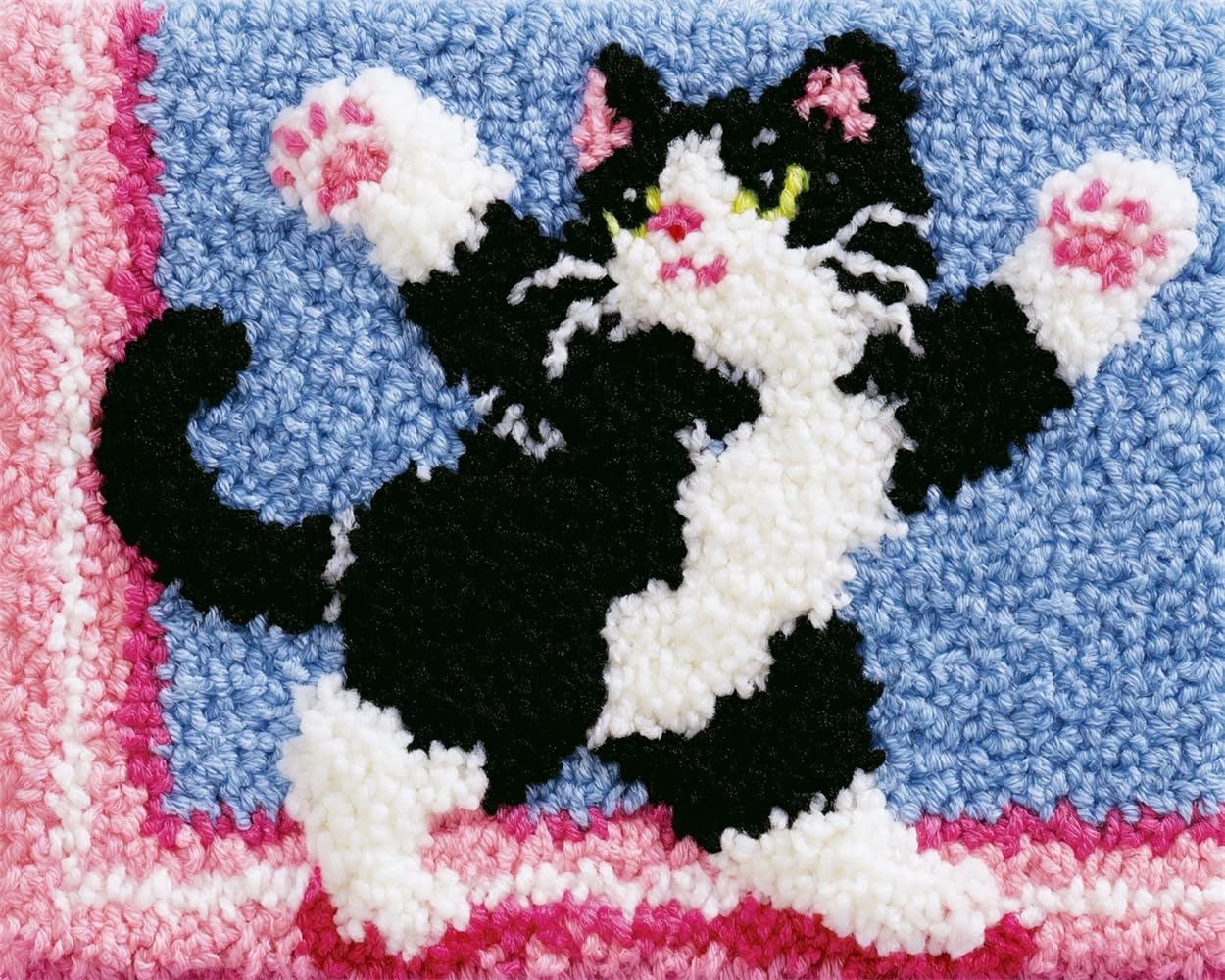 FWRTYCB Latch Hook Kitsdancing cat