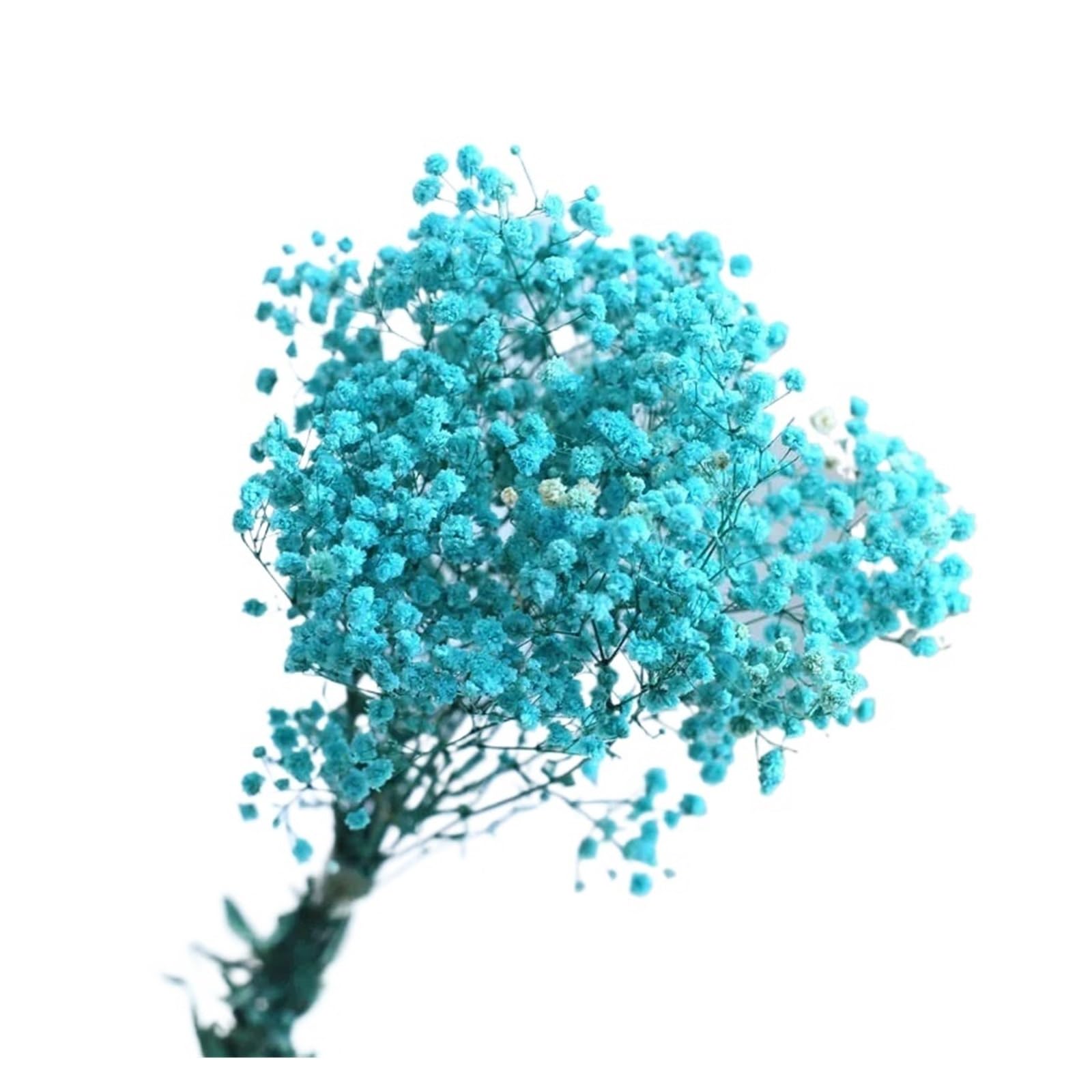 WJIAYAO dried gypsophila flowers 100g Preserved Baby Breath White Gypsophila Dried Flower Wedding Bouquet Decoration Home Vase Filler(Blue)