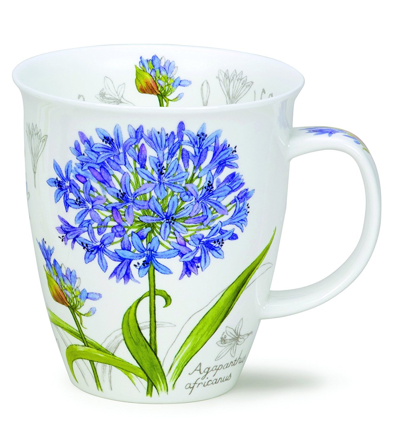 Dunoon Blue Bone China Botanical Sketch Mug (Agapanthus)