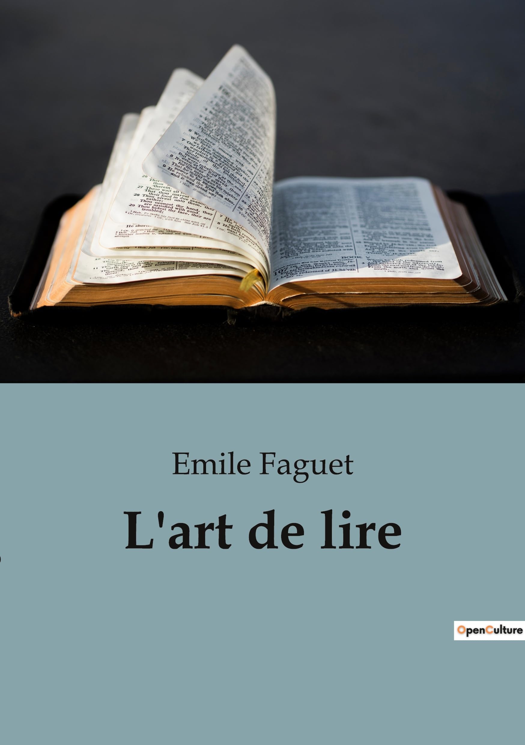 L'art de lire: L'art de lire: une exploration des méthodes de lecture pour enrichir l'esprit