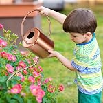Le pot d'arrosage des plantes, 50 oz / 1500 ml Acier inoxydable Métal - Décoratif moderne avec une longue épanchement pour les plantes en pot intérieur, Bonsai, Fleurs de jardin, Cuivre