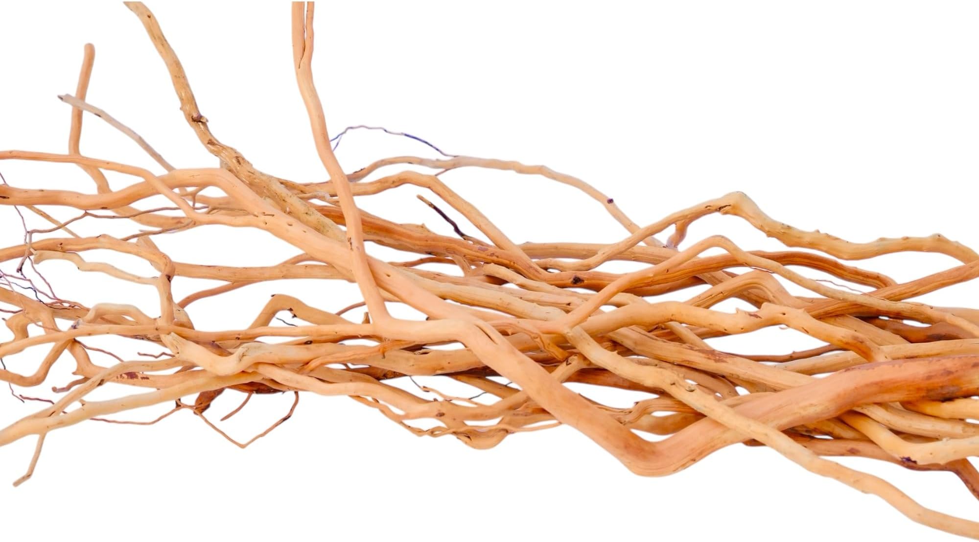 Azil Natural Aquarium Driftwood Root – Driftwood for Aquarium Decor, 200g (14″–16″), Fish Tanks, Terrariums, Aquascaping & Planted Tanks