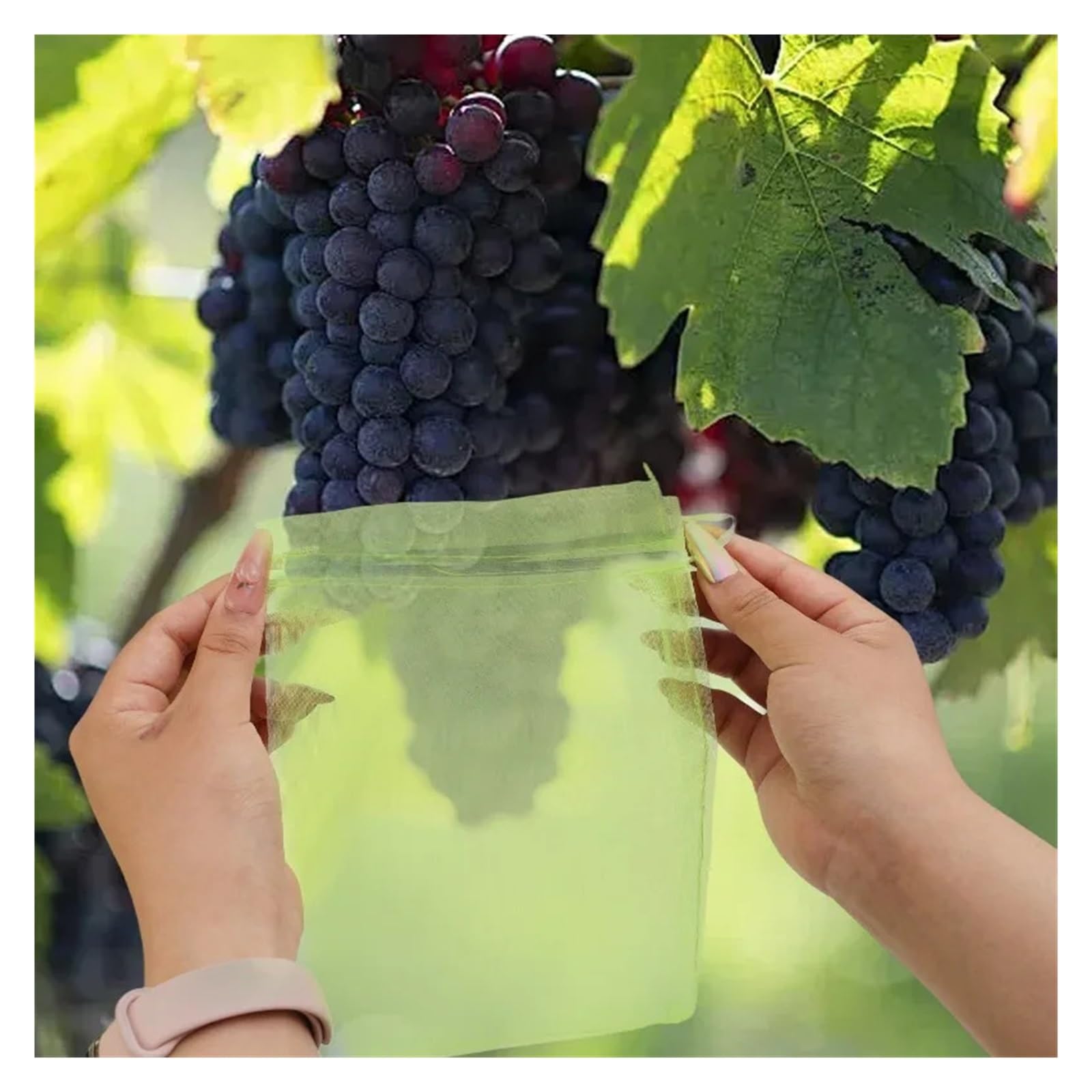 Bolsas de protección frutas con cordón, malla a prueba insectos, cubiertas barrera contra plagas, reutilizables for árboles, plantas, suministros jardín | Green 20x30cm,10PCS