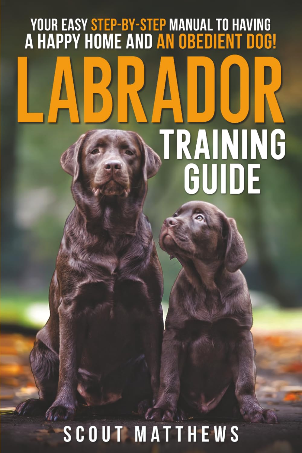Labrador Training Guide: Your Easy Step-by-Step Manual to Having a Happy Home and an Obedient Dog!