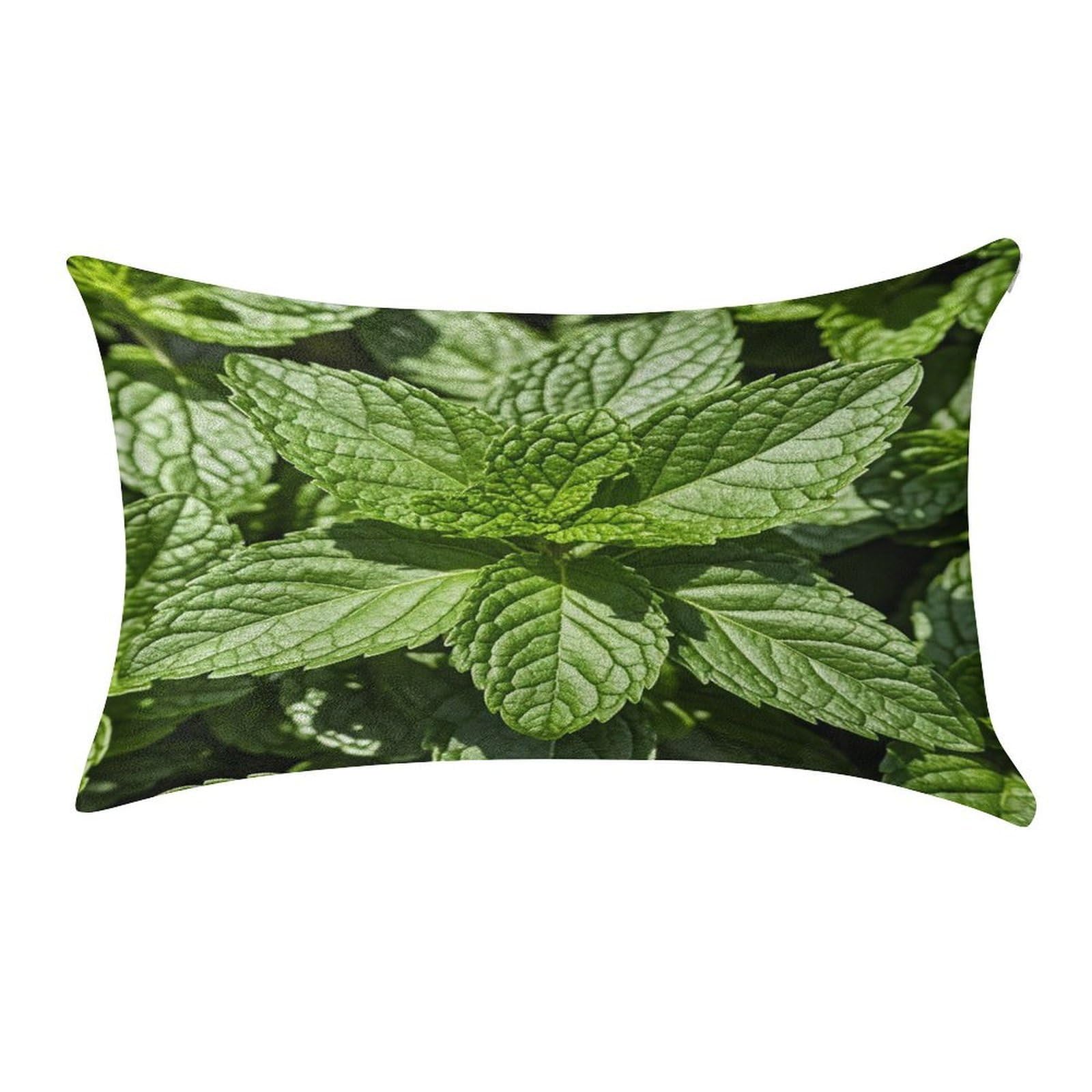FekiLoot Peppermint Pillowcase Velvet Throw Pillow Cover Soft Lumbar Pillow Shells Rectangle Cushion Cases with Zipper Luxury Cozy Pillows Shams for All Seasons 12 X 20 in