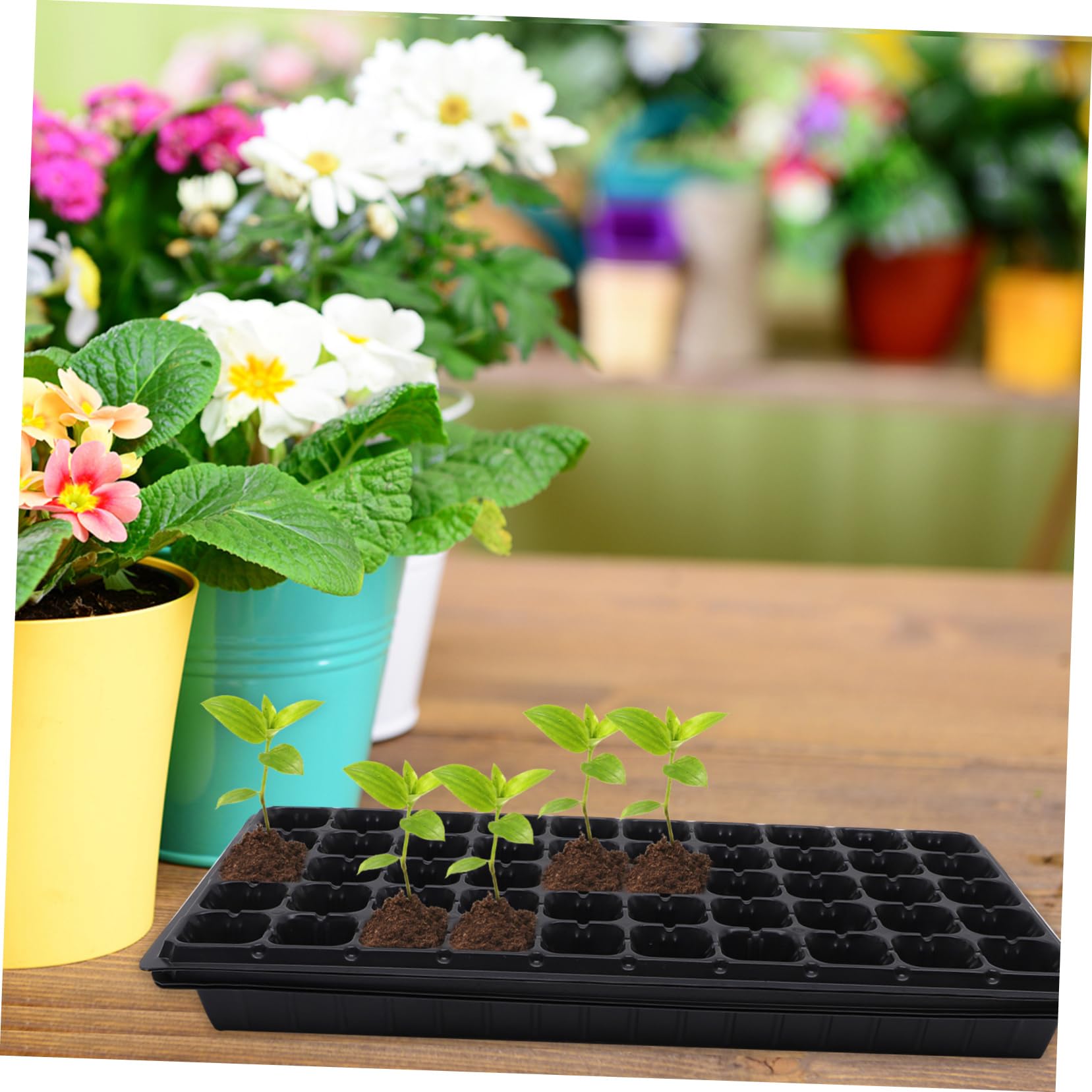 TOYANDONA Plateau de Germination Plateau de Culture Profond 4,5x4,5 Cm pour Plantes 50 Trous en Pet Noir 4 Pièces Accessoire Serrage de Jardin pour Propagation