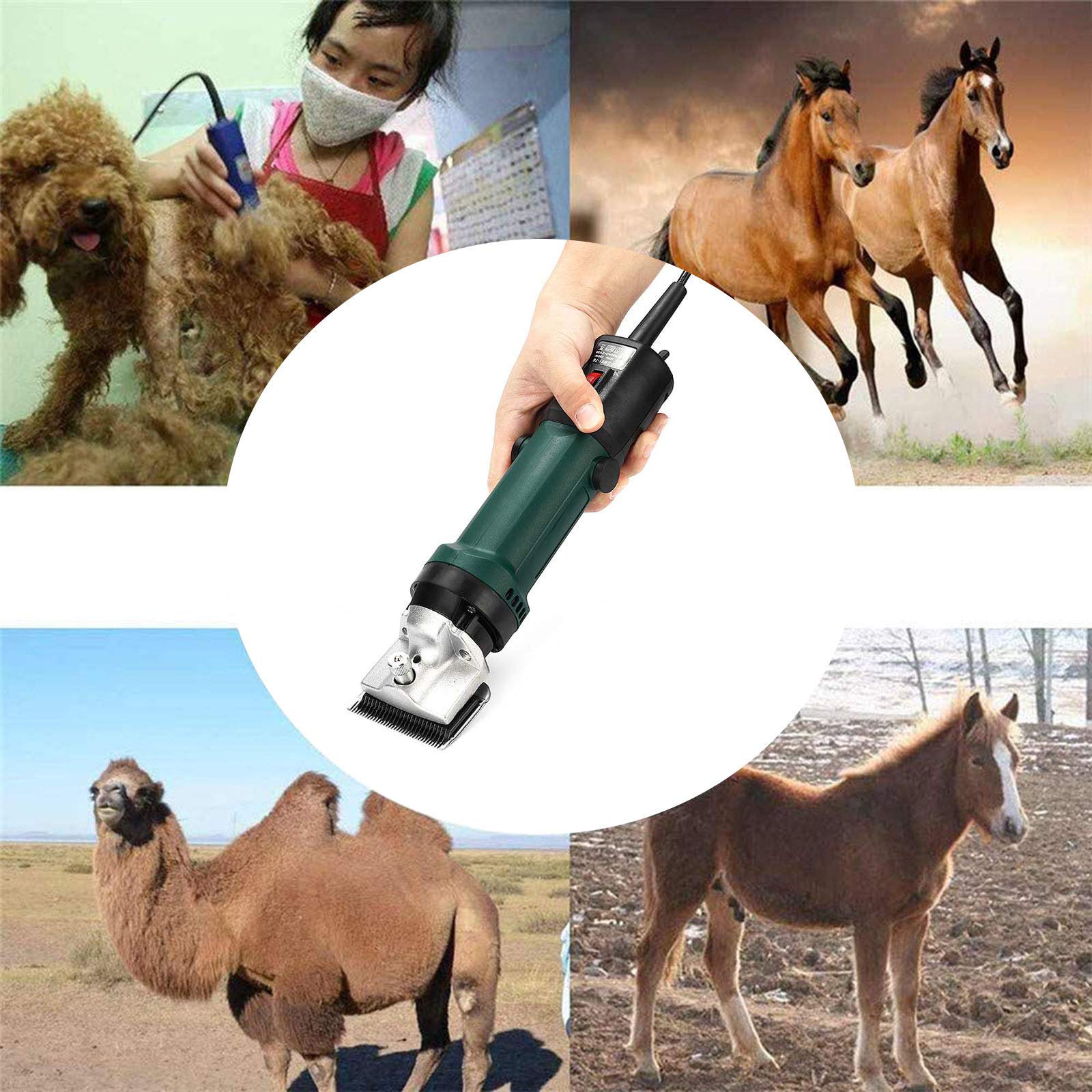 Esquiladoras para Caballos, Tijeras para Animales de Alta Resistencia de 6 Velocidades, Utilizadas para La Granja de Animales Grandes de Pelo Grueso, Caballos, Ganado, Perros