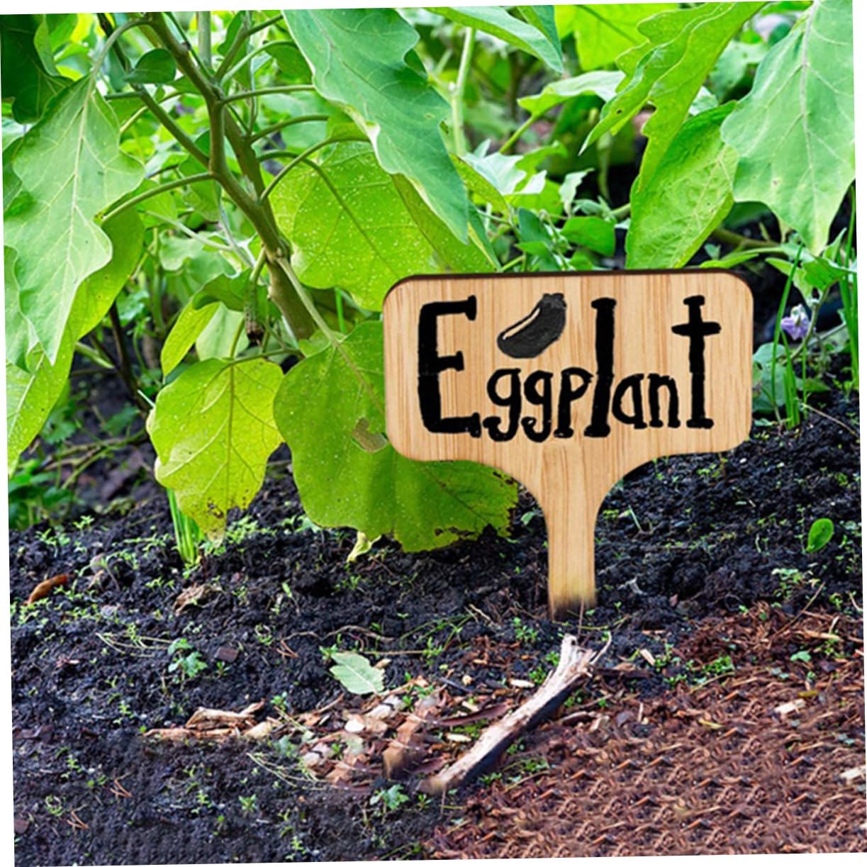 YARNOW 120pièces Étiquettes Bois Pour Plantes Marqueurs T-type Pour Jardin Lot De Identification Facile Des Plantes Et Fleurs