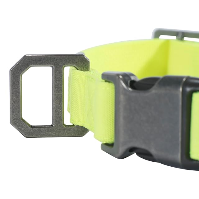 Foto 2 de 5 de Carhartt Collar de Perro de Nailon con Forma de Pato, Color Lima Brite, Talla L