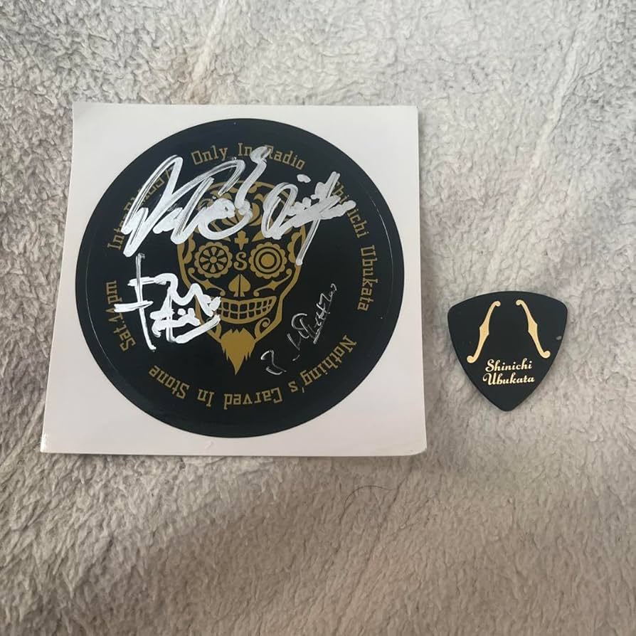 ELLEGARDEN ピック Amazon | SCHECTER SPA-UBU10 BK ELLEGARDEN / Nothing's Carved