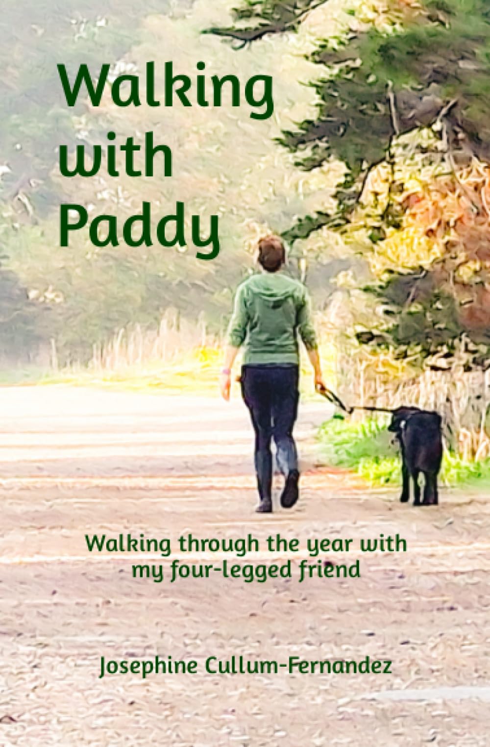 Walking with Paddy: Walking through the year with my four-legged friend