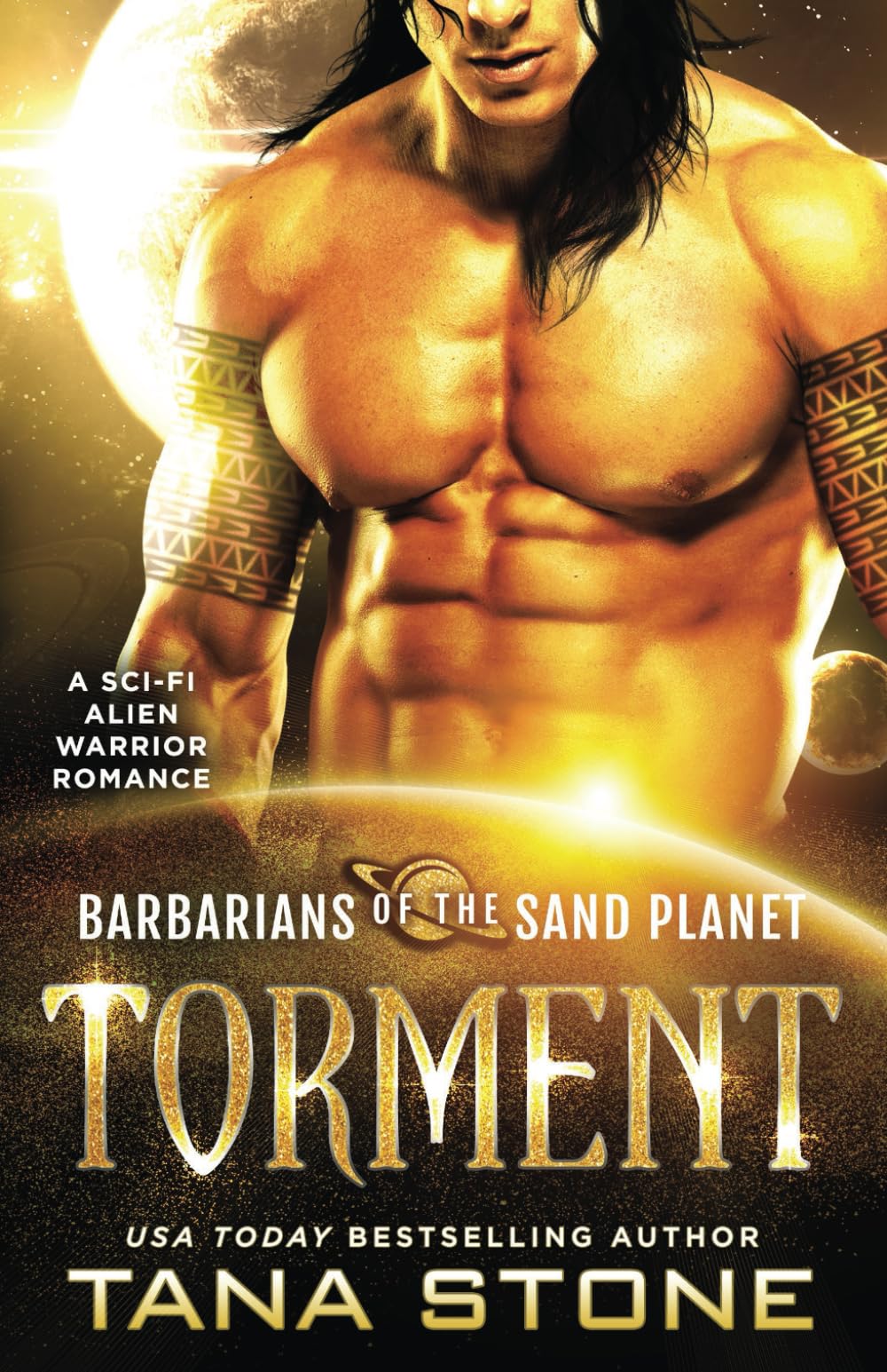 Cover of Torment