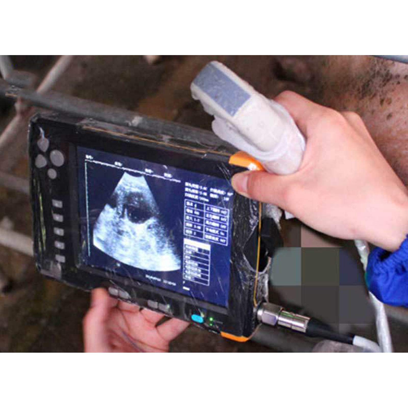 Scanner veterinario ad ultrasuoni - Sistema diagnostico portatile per gravidanza, per animali, tra cui cani, gatti, mucche e altro