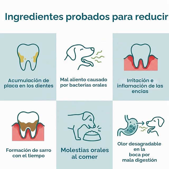 Foto 3 de 8 de Zanipro - Polvo Dental para Perros y Gatos