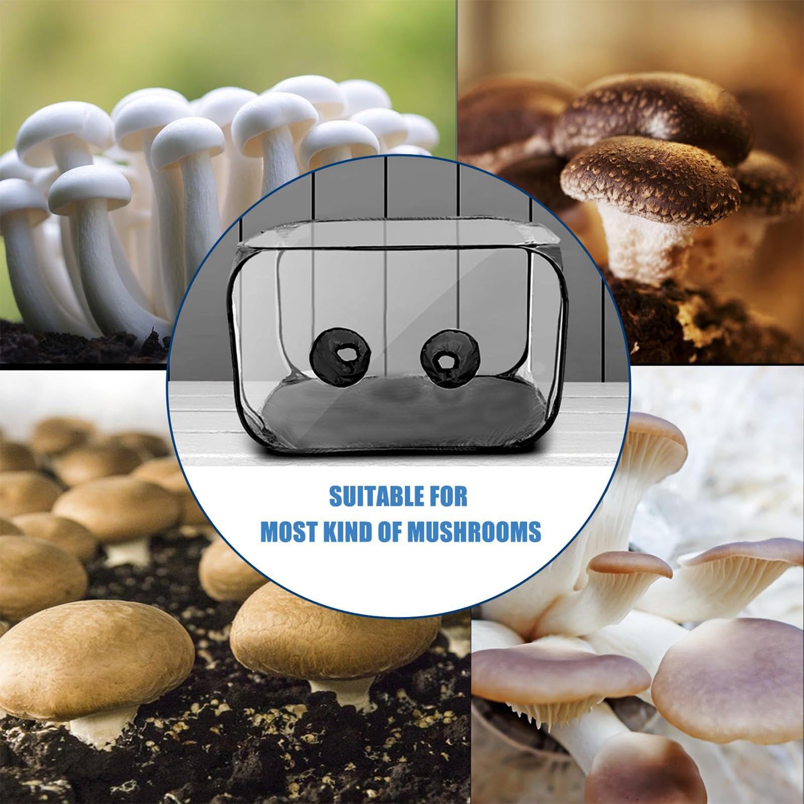 Mushroom Still Air Box,Still Air Box per mushroom – Sacchetto trasparente per piante funghi – Sacchetto per la coltivazione di funghi, forniture per giardinaggio, design pop-up, contenitore