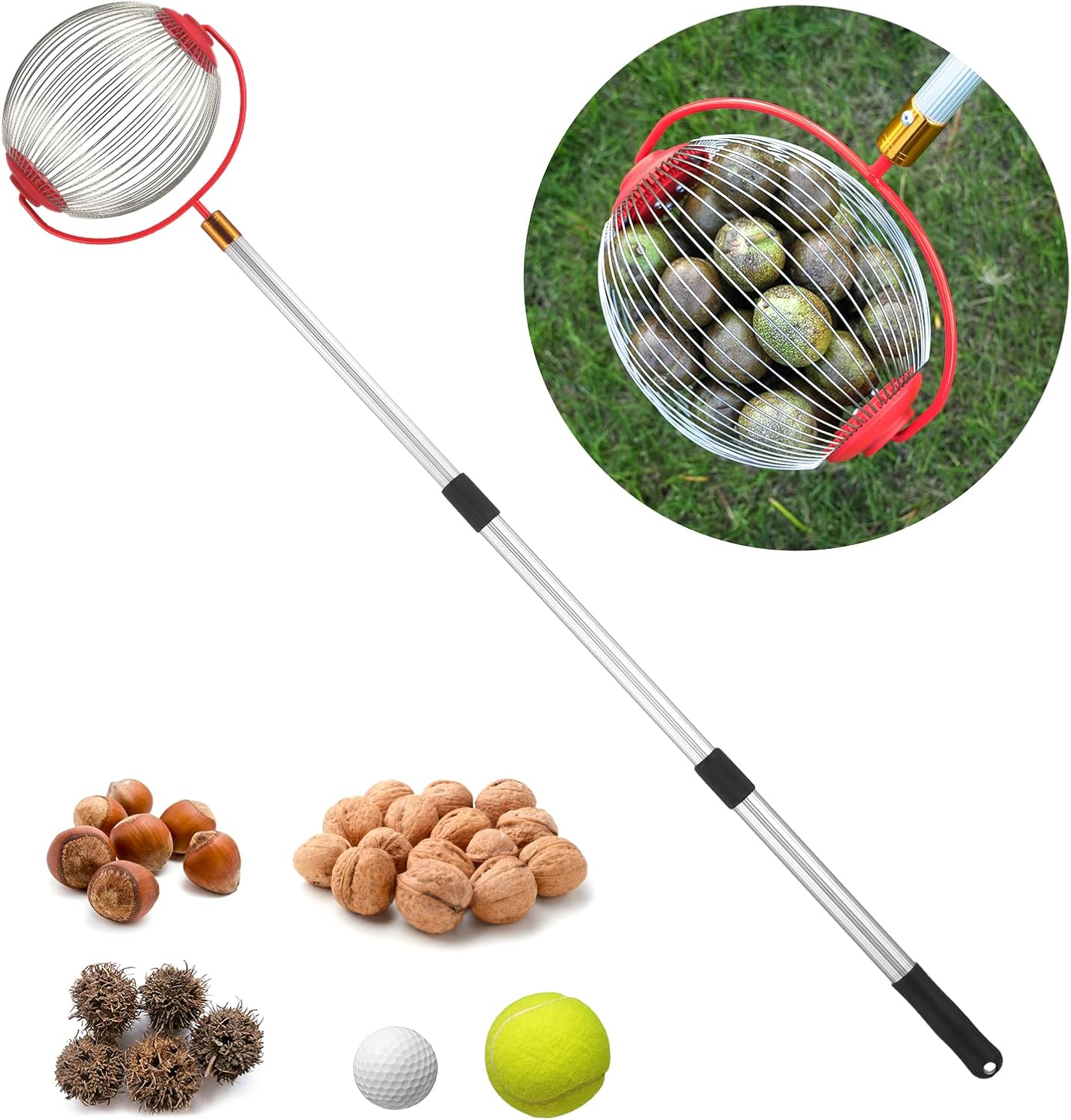 Cooltop Medium Nut Gatherer, Nut Picker Rolling Acorn Picker Upper,Adjustable Lightweight Outdoor Manual Tools,Collect Walnuts,Acorns,Hickory Nuts,Golf with 1Gallon(Medium)