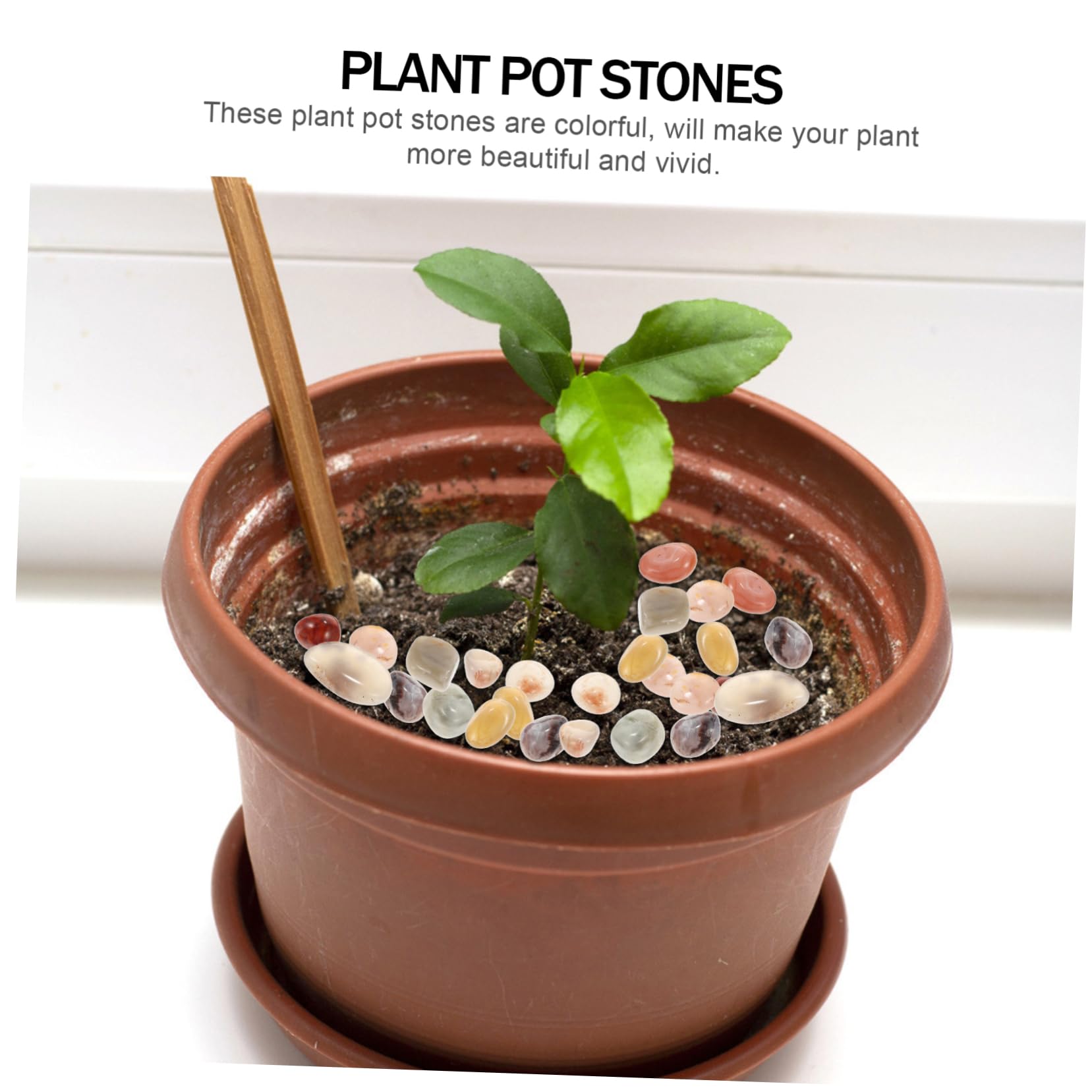 Amazon | 盆栽 植物 盆栽石 景色石 盆栽石 盆栽小石 ビーズ 飾り