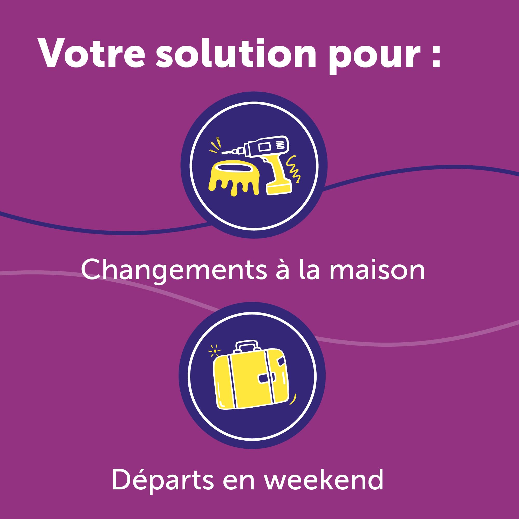 FELIWAY Help! Diffuseur + Recharge de phéromones apaisantes pour Chats (durée de 7 Jours). Aide à Calmer Votre Chat Pendant Les Situations de Stress ponctuel. Recommandé par Les vétérinaires.