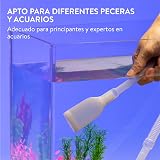 Ver la foto 8