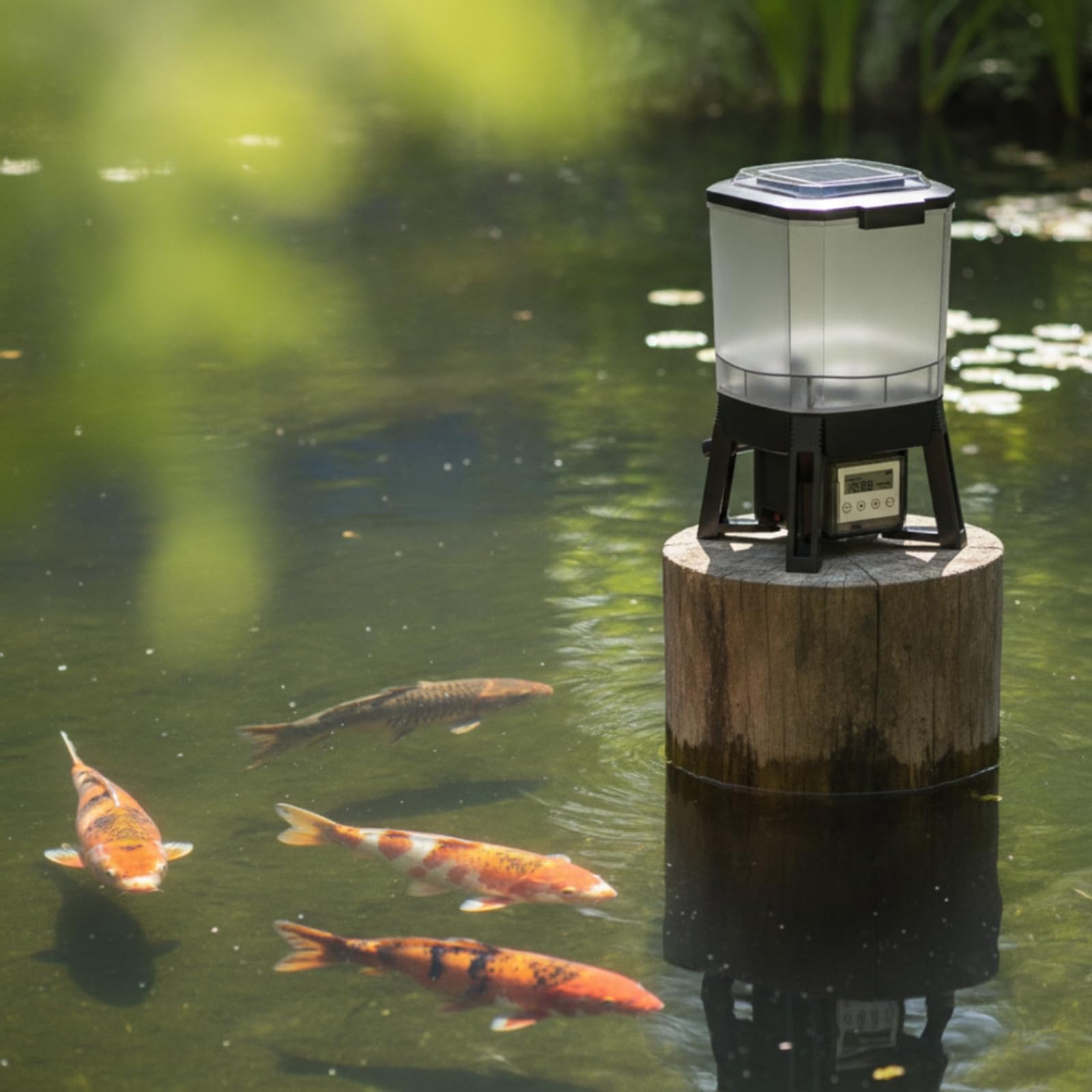 Alimentador Solar Peces Portátil Alimentador Automático Peces sin Grumos Comero para Jardín