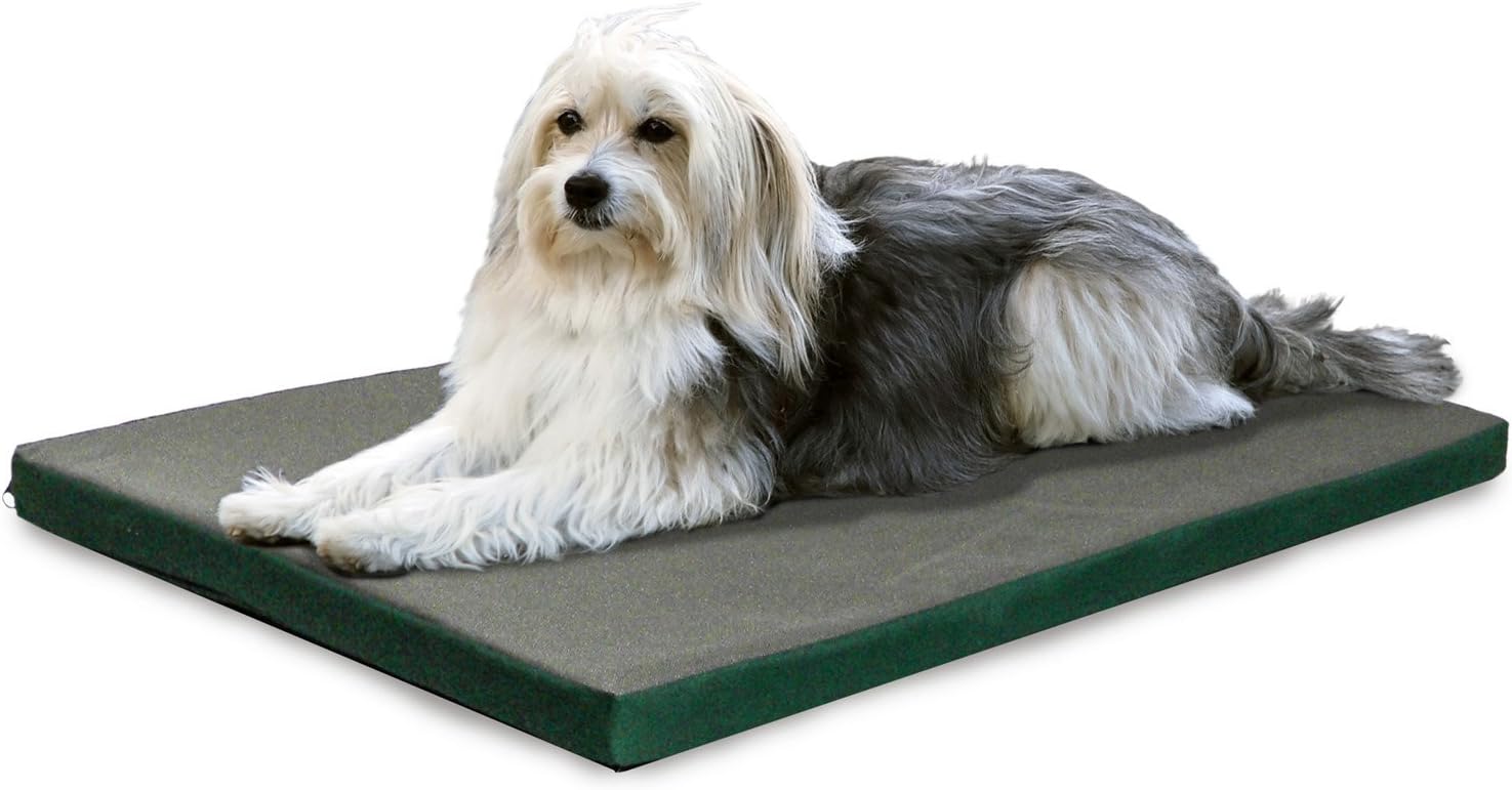 The Ultimate Comfort: Furhaven Water-Resistant Dog Bed Review for Large Dogs