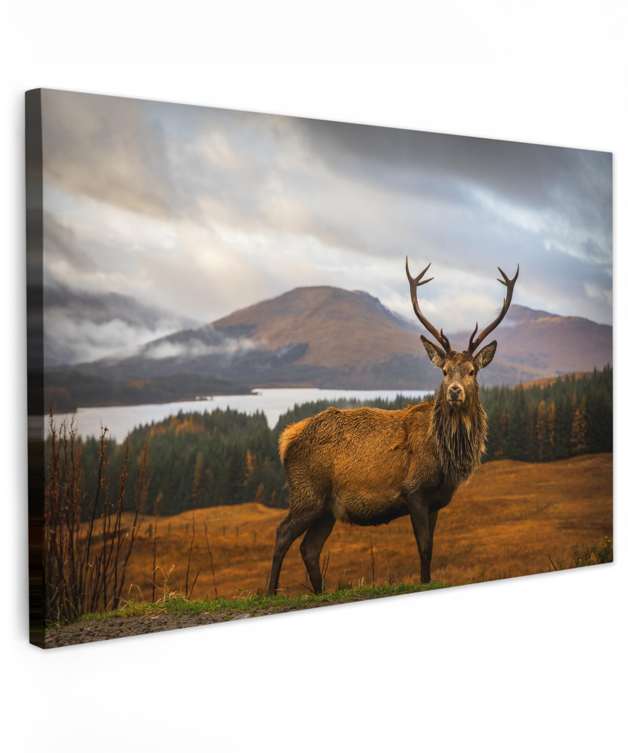 MuchoWow© Canvas Wall Art 35"x24" / 90x60 cm Home Decor Paintings for Living Room Decorations Gifts Hallway Deer - Mountain - Water - Landscape - Animals - Trees — image 1