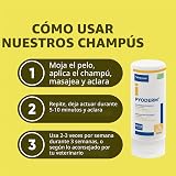Ver la foto 7