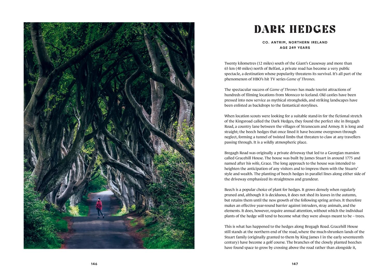 The History Trees: Extraordinary tales of famous forests and natural landmarks around the world, with roots in history through to today