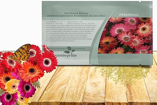 Vista 21 de Outsidepride Semillas de gerbera rosa, 20 piezas perennes, compactas y de bajo mantenimiento, semillas de flores para plantar con centro verde