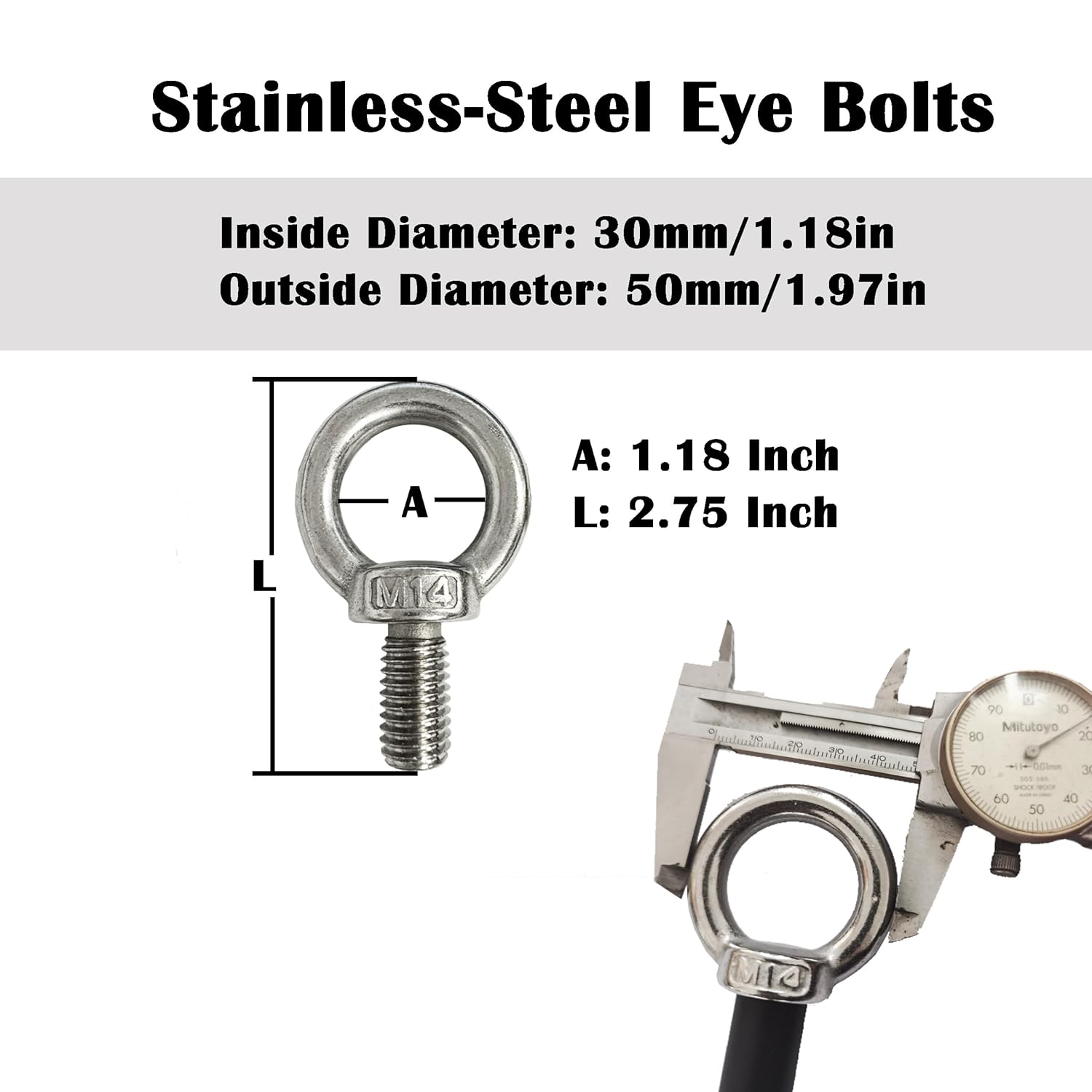 Stainless Steel Eye Bolts for Pergola with Guide Poles (PK of 4)