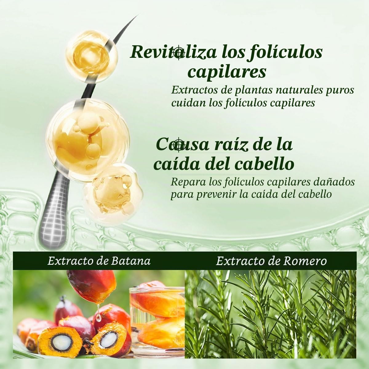 Champú de aceite de batana, champú de romero, nutritivo y rejuvenecedor para suavidad y volumen, adecuado para hombres y mujeres, reduce la pérdida de cabello (10.5 onzas líquidas)