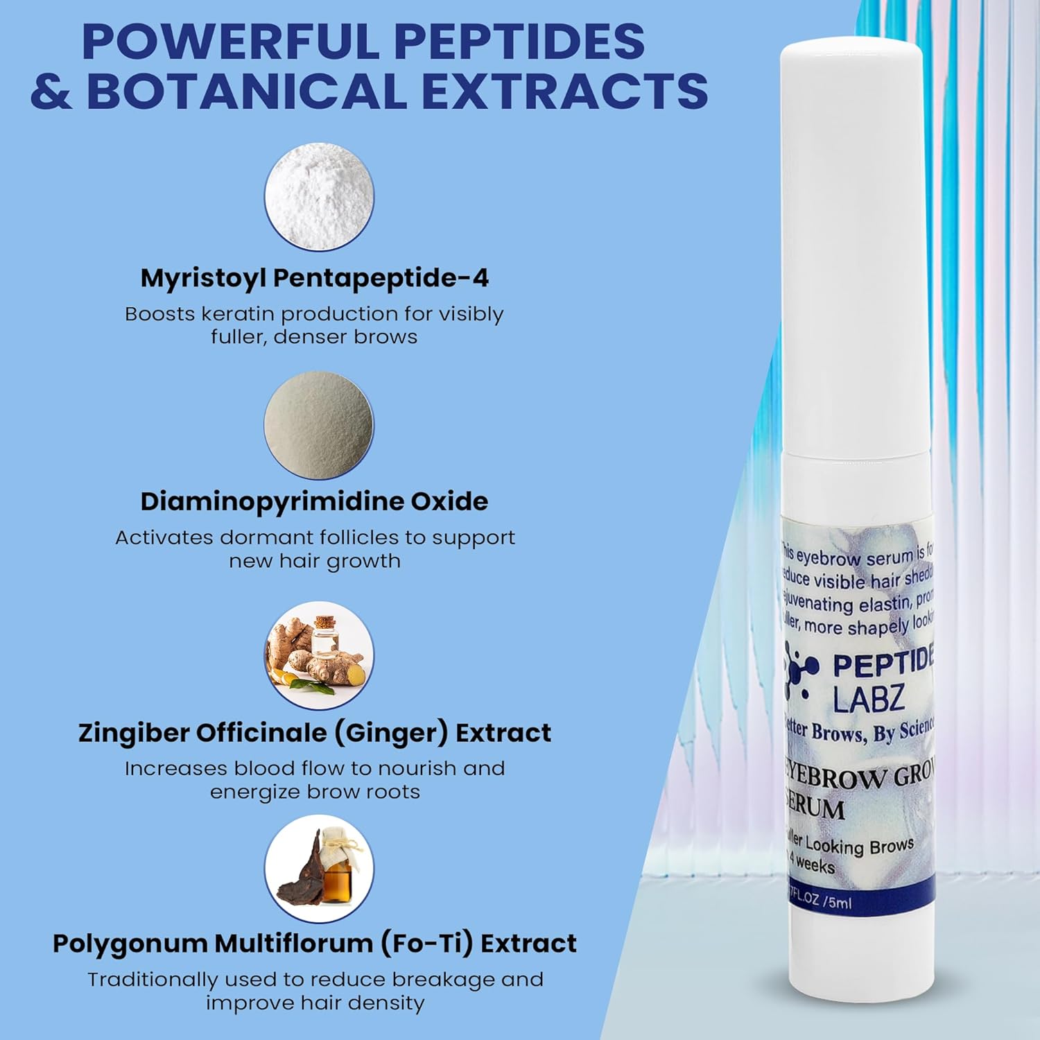 Eyebrow Growth Serum for Thicker, Fuller Brows – Peptide & Botanical Extract Complex with Ginger and Polygonum – 5ml - Image 3